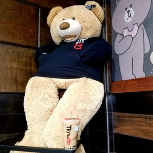 Un bear ably cute