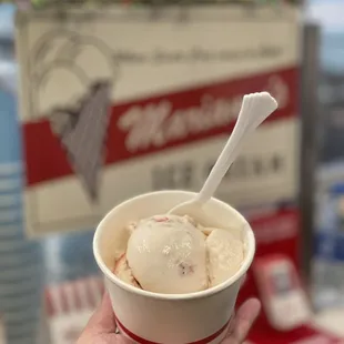 Strawberry Ice Cream