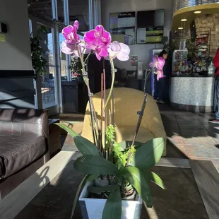 interior, sushi and sashimi