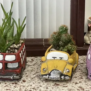 three cars with plants in them