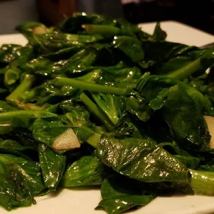 Pea tips ($19), vegan by default. Delicious.