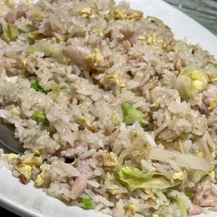 Salted fish, chicken, fried rice