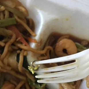 Metal in my food