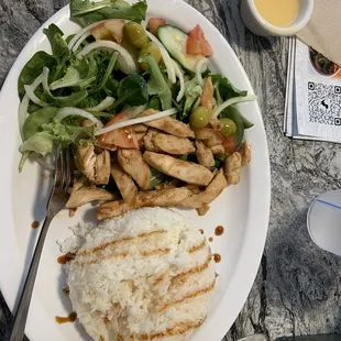 Rice platter with Grilled Chicken Salad.