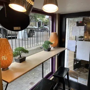 bonsai trees at Tea Social