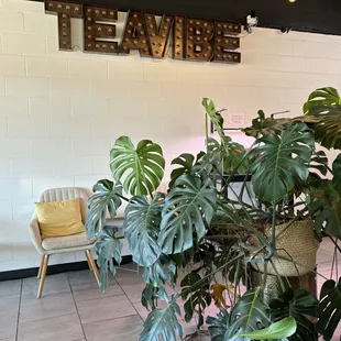 Inside customer dining area