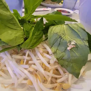 Fresh  Vegetables for each bowl of pho