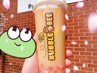 Bubble Bee Ross Park