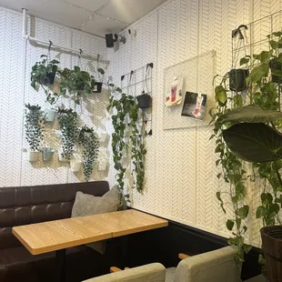 a corner of a coffee shop