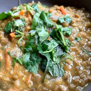 Lentil Soup