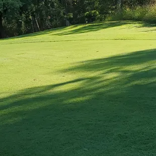 You can see deer in the background.