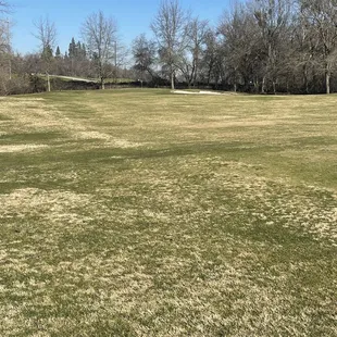 This is the fairway, this is the condition off all the fairways at this course.