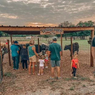 Feed the Farm Animals