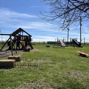 Slides/ play structure