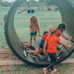 Fun on the Giant Human Hamster Wheels