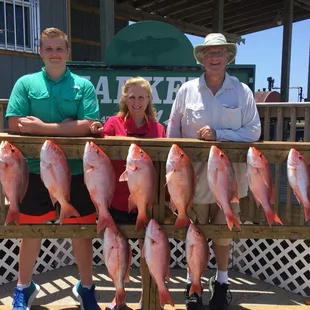 Nice morning chasing Snapper