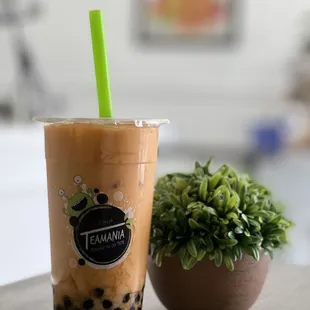 Thai Milk Tea with Original Boba