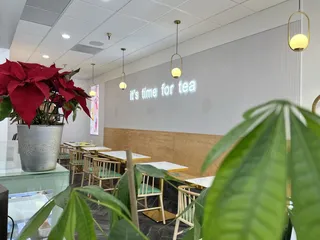 Mia & More - Minnesota