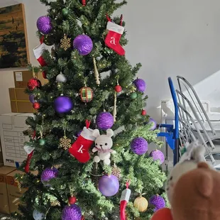 Do you see a familiar face???