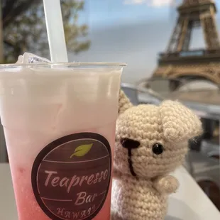 Pink Dragonfruit Hibiscus