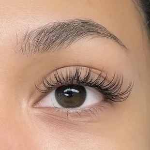 Wet lashes