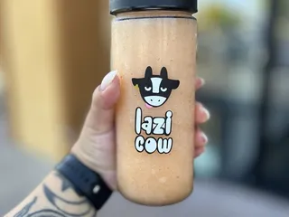 Lazi Cow - Folsom
