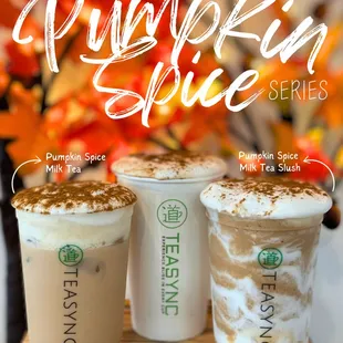 Seasonal Pumpkin Spice Series