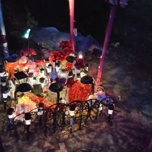 This is my sweet sally sue resting place