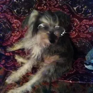 This is my baby ... I  miss her more than words can say