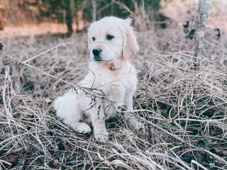 Cedar Creek Veterinary Clinic