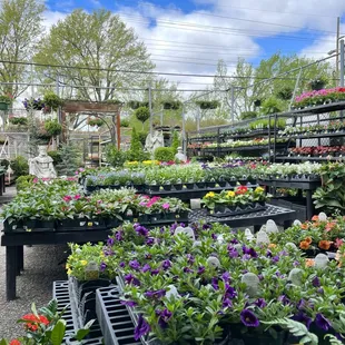 Our property grounds are covered in perennials and annuals during the Spring and Summer.