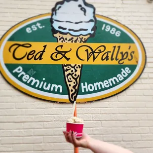 a hand holding a cup of ice cream