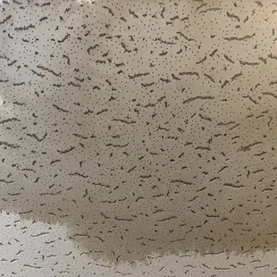 Water damage from horrific roofing job!