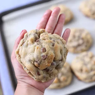 Chocolate chip cookies + walnuts
