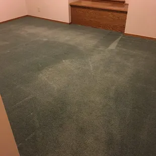 Carpet cleaned