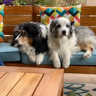 Faith and Willow, clients of Teddy's