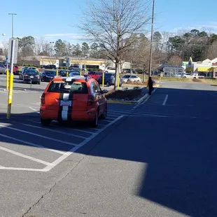 Teddy illegally parking in a handicapped ramp spot.