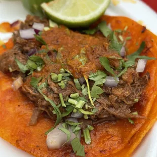 Teddy Red Taco everything.