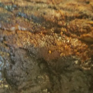 Bark, hard and dried out