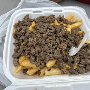 Asada fries, fully loaded.