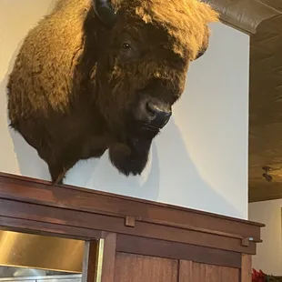 Well, hello there Handsome!