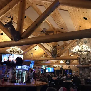 a bar with deer heads on the ceiling