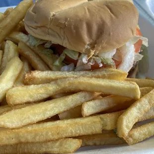 a sandwich and french fries