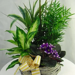 Custom Basket Gardens