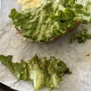 turkey sandwich
