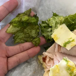 old lettuce