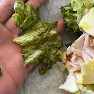 brown, old lettuce