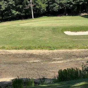 They drained the pond on The Cove #8, I've got balls in there!