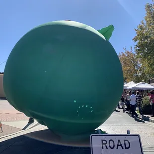 Apple festival 2021