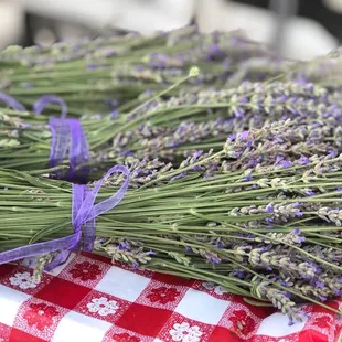 I had to buy some lavender from Moessners Farm